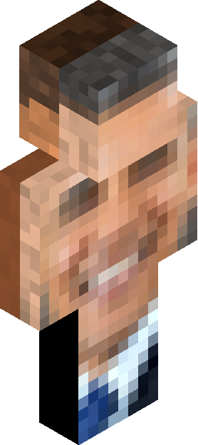 Minecraft skin tagged survivor rank #12