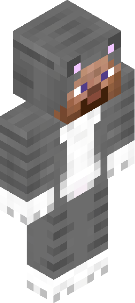Minecraft skin tagged cat rank #48