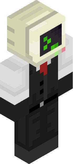 Minecraft skin tagged screenhead rank #4