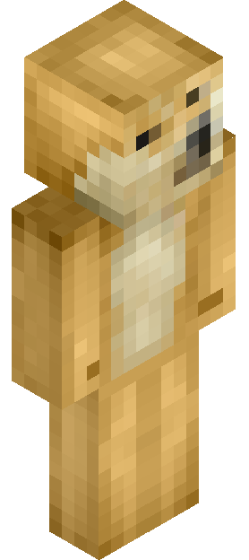 the_squirl_guy skin render