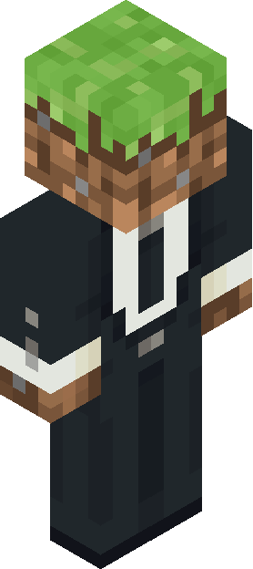 Minecraft skin tagged novelty rank #33