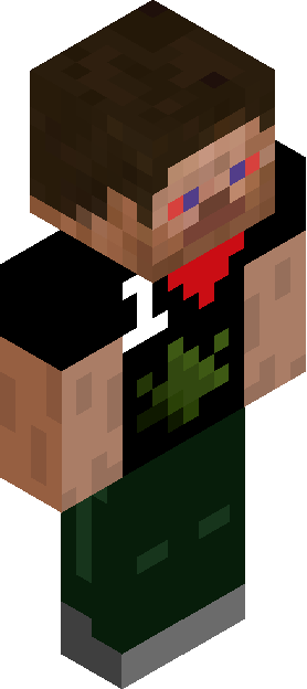 Minecraft skin tagged emblem rank #9
