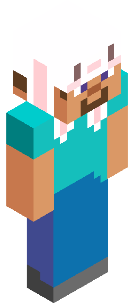 swordplushie skin render