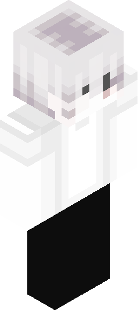 Minecraft skin tagged light rank #5