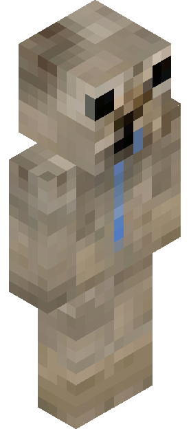 Play1ngF0rFun skin render