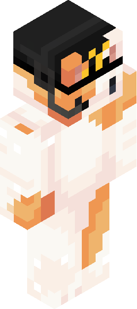 Minecraft skin tagged hat rank #37
