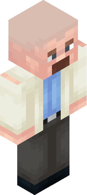 Minecraft skin tagged npc rank #45