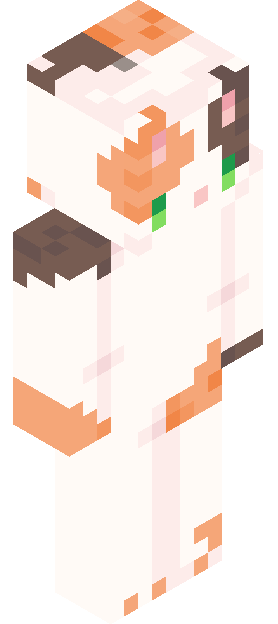 ArianBE skin render