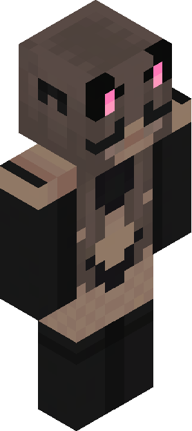 Minecraft skin tagged ragged rank #20
